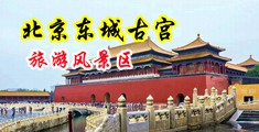 哦啊骚逼啊啊视频中国北京-东城古宫旅游风景区